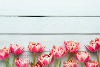 Pastel arka planda bahar çiçekleri laleleri. Retro vintage