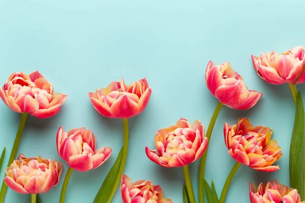 Bahar çiçekleri, pastel renkler zemin üzerine lale. Retro vintag