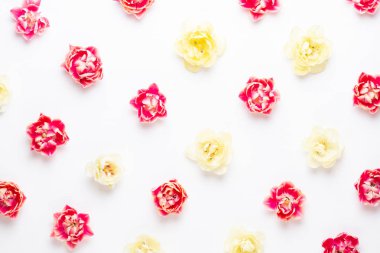 Pastel arka planda bahar çiçekleri laleleri. Retro vintage