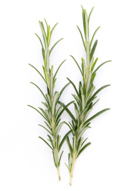 Biberiye baharat beyaz zemin üzerine.