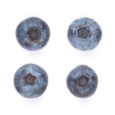 beyaz zemin üzerine taze yaban mersini.