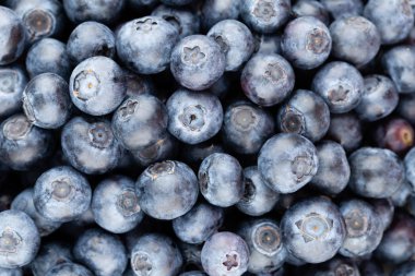 Taze yaban mersini arkaplanı. Doku yaban mersini yakından geliyor..