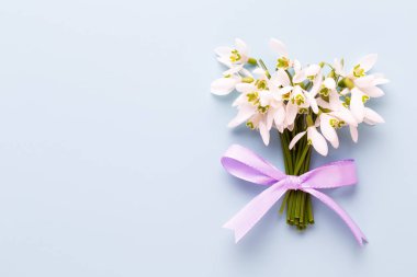 Taze kardelen metin için yer ile mavi arka plan üzerinde. Bahar g