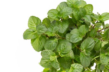 Beyaz arkaplanda izole edilmiş taze yeşil baharatlar, üst görünüm.