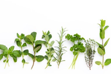 Beyaz bir arka planda bitkisel baharat. Üst görünüm.