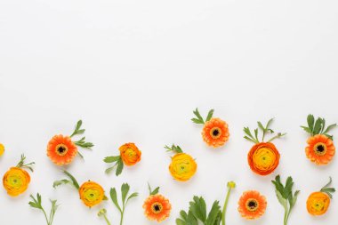 Bio bitkisel yeşil kozmetik düzenleme, deniz tuzu ve el yapımı çünkü