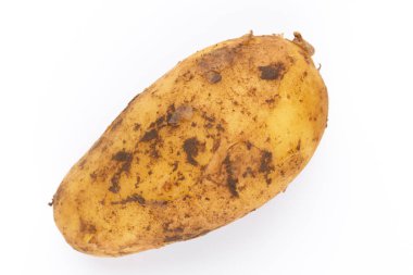 Beyaz arka plan üzerinde izole genç patates. Yeni hasat. Düz yatıyordu