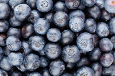 Taze yaban mersini arkaplanı. Doku yaban mersini yakından geliyor..