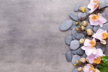 Klasik arka planda orkide çiçekleri. Spa arka planı, spa