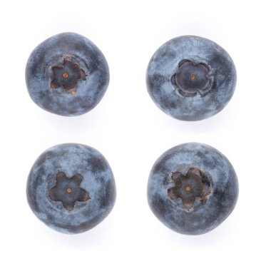 beyaz zemin üzerine taze yaban mersini.