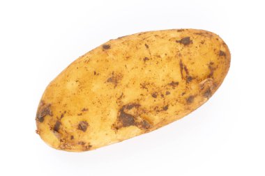 Beyaz arka plan üzerinde izole genç patates. Yeni hasat. Düz yatıyordu