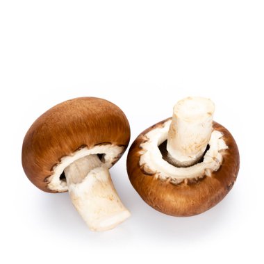 Taze şampiyon mantarları beyazda izole edilmiş.. 