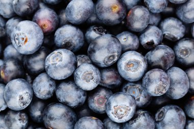 Taze yaban mersini arkaplanı. Doku yaban mersini yakından geliyor..