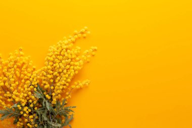 Sarı arka planda sarı çiçek deseni. Bahar selamlaması c