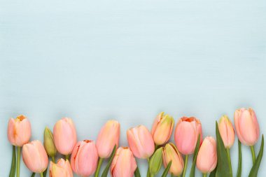 Vintage ahşap arka plan üzerinde pembe lale. Anneler günü tebrik