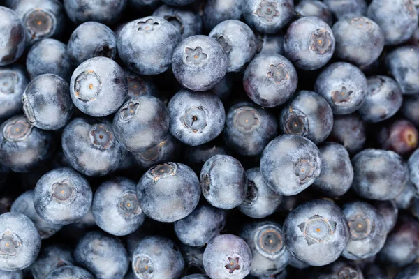 Taze yaban mersini arkaplanı. Doku yaban mersini yakından geliyor..