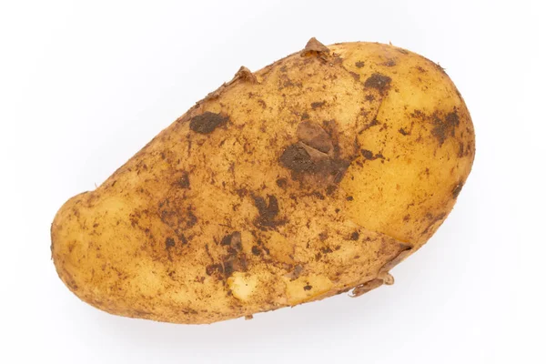 Beyaz arka plan üzerinde izole genç patates. Yeni hasat. Düz yatıyordu