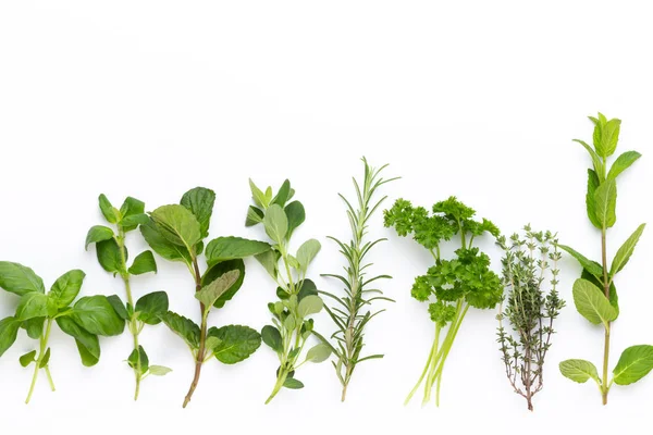 Beyaz bir arka planda bitkisel baharat. Üst görünüm.