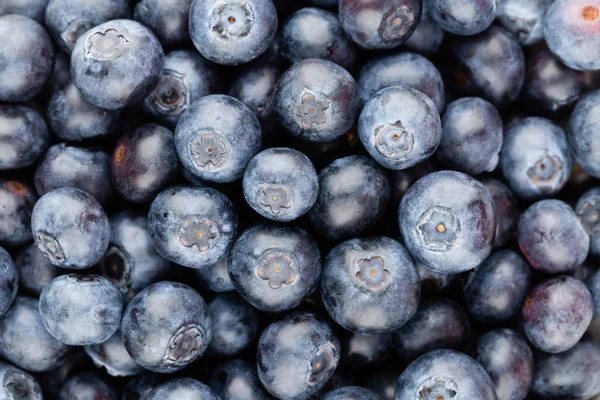 Taze yaban mersini arkaplanı. Doku yaban mersini yakından geliyor..