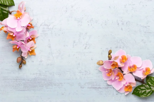 Klasik arka planda orkide çiçekleri. Spa arka planı, spa