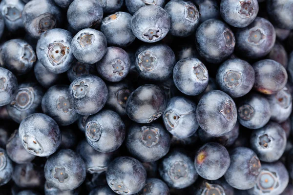 Taze yaban mersini arkaplanı. Doku yaban mersini yakından geliyor..