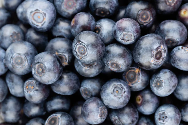 Taze yaban mersini arkaplanı. Doku yaban mersini yakından geliyor..