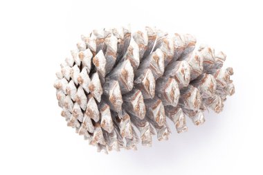 Beyaz bir arka planda Noel dekoru yakın plan. İzole edilmiş - Resim