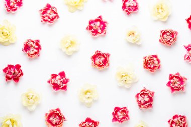 Pastel arka planda bahar çiçekleri laleleri. Retro vintage