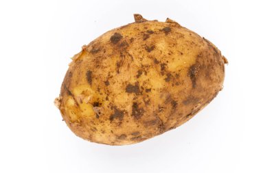 Beyaz arka plan üzerinde izole genç patates. Yeni hasat. Düz yatıyordu