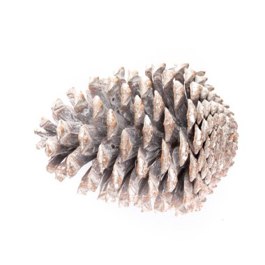 Beyaz bir arka planda Noel dekoru yakın plan. İzole edilmiş - Resim