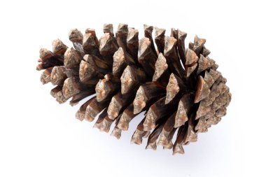 Beyaz bir arka planda Noel dekoru yakın plan. İzole edilmiş - Resim