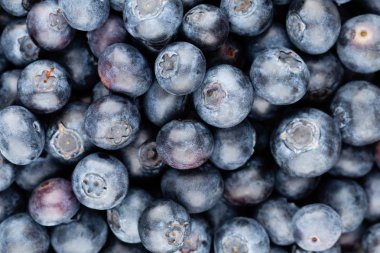 Taze yaban mersini arkaplanı. Doku yaban mersini yakından geliyor..