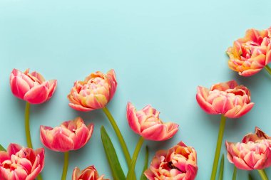 Bahar çiçekleri, pastel renkler zemin üzerine lale. Retro vintag