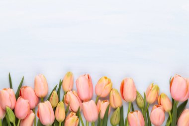 Vintage ahşap arka plan üzerinde pembe lale. Anneler günü tebrik