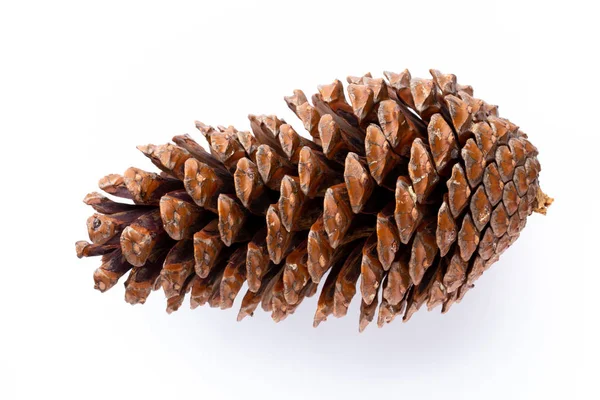 Beyaz bir arka planda Noel dekoru yakın plan. İzole edilmiş - Resim