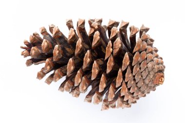 Beyaz bir arka planda Noel dekoru yakın plan. İzole edilmiş - Resim