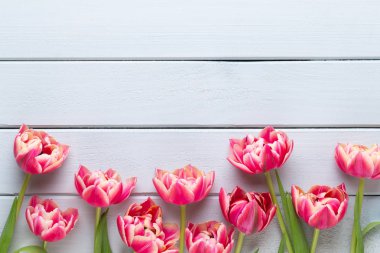 Pastel arka planda bahar çiçekleri laleleri. Retro vintage