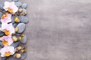 Klasik arka planda orkide çiçekleri. Spa arka planı, spa