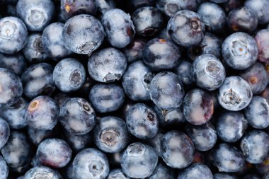 Taze yaban mersini arkaplanı. Doku yaban mersini yakından geliyor..