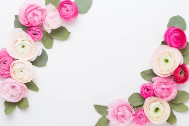 Beyaz bir arka plan üzerinde güzel renkli tipik çiçekler. Spri