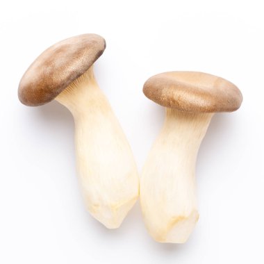 istiridye mantar beyaz zemin üzerine Kral.