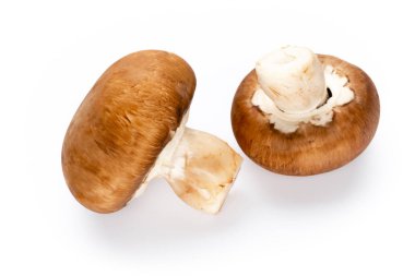 Taze şampiyon mantarları beyazda izole edilmiş.. 