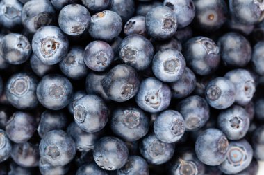 Taze yaban mersini arkaplanı. Doku yaban mersini yakından geliyor..