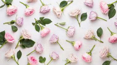 Çiçekler sevgililer günü kompozisyonu. GR üzerindeki pembe gülden yapılmış çerçeve