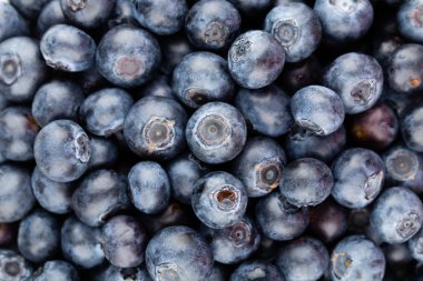 Taze yaban mersini arkaplanı. Doku yaban mersini yakından geliyor..