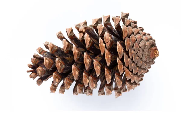 Beyaz bir arka planda Noel dekoru yakın plan. İzole edilmiş - Resim