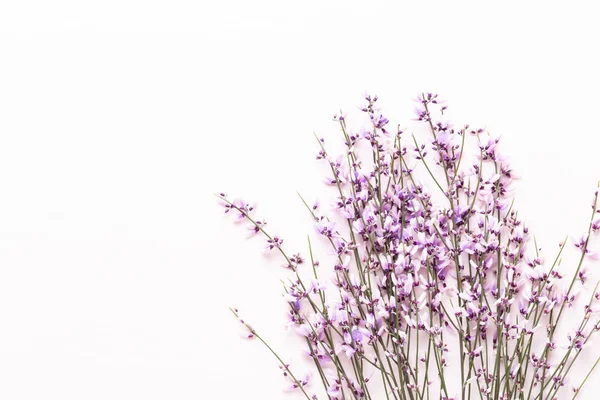 Çiçek kompozisyon. Pembe çiçekler pembe bir arka plan üzerinde. Paskalya, sp