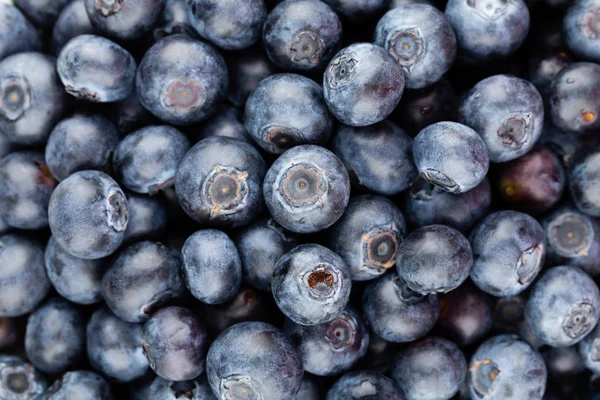 Taze yaban mersini arkaplanı. Doku yaban mersini yakından geliyor..