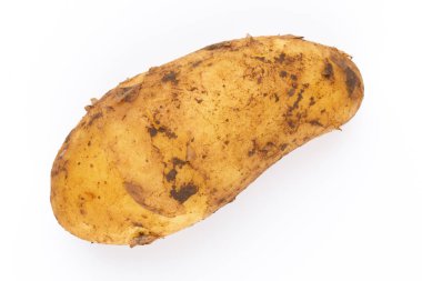 Beyaz arka plan üzerinde izole genç patates. Yeni hasat. Düz yatıyordu