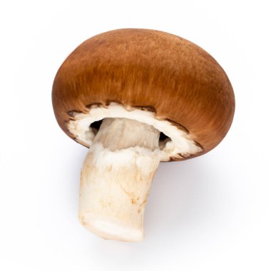 Taze şampiyon mantarları beyazda izole edilmiş.. 